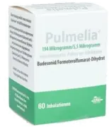 PULMELIA 194 mcg/5,5 mcg/Dosis 60 ED Inhalatio