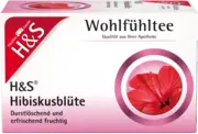 H&S Hibiskusblüte Filterbeutel