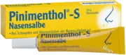 PINIMENTHOL S Nasensalbe